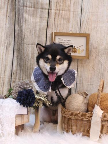 20241031ふうくん